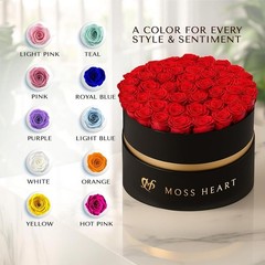 50 Petite Preserved Roses, Designer Round Box, Real 50 Red