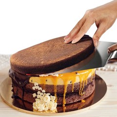 Stainless Steel Cake Customizing Decorating Serving 5pc set, Cake Server Lift…