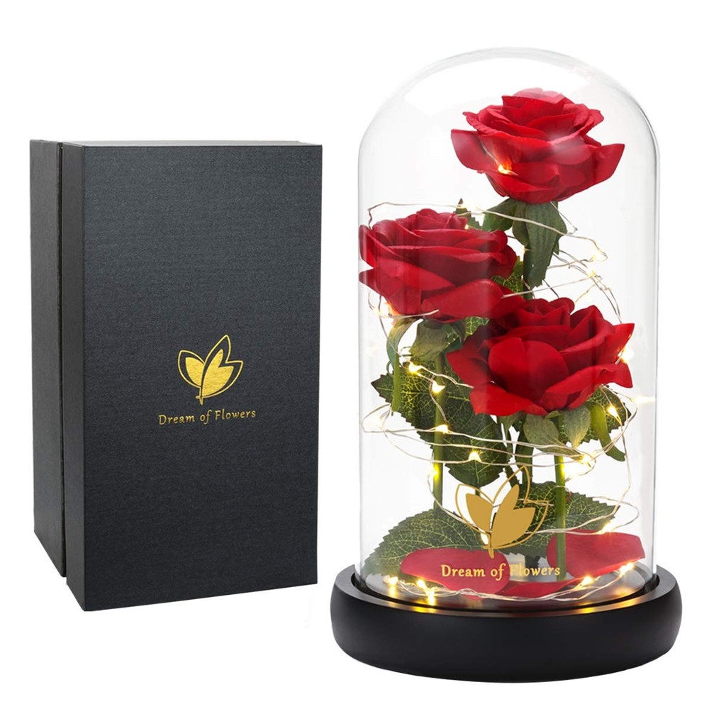 Valentines Day Gifts for Her,Beauty and The Beast Rose in Glass Classic Red