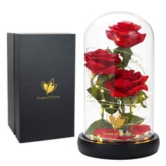 Valentines Day Gifts for Her,Beauty and The Beast Rose in Glass Classic Red