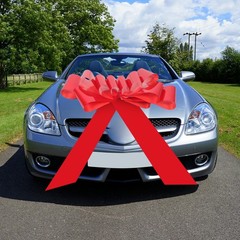 Reusable Wedding Car Bow PVC Material Large Red Bow for Decor and Special Events