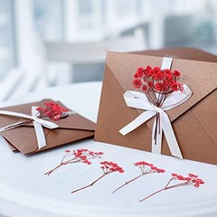 Pcs Dried Baby Breath Flowers, Red Mini Natural Gypsophila Dried Pressed 50