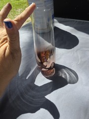 2 Rose Gold Metallic Glass Champagne Flutes Stemless
