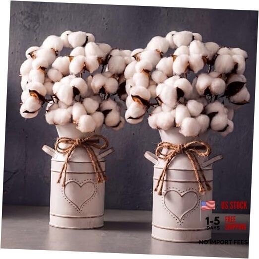 2 Pack 7.5″ High Decorative Vase with 10 Pcs Cotton Stems, Cotton Flowers in