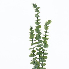 3 Frosted Green 30″ Artificial Eucalyptus Leaves Sprays Stems Party Supplies