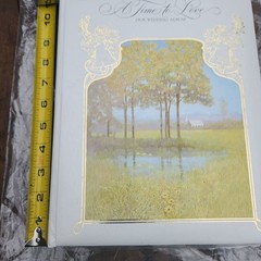 A Time To Love Our Wedding Album Hallmark Bridal Keepsake Photo Album White Gold