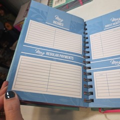 Budget Planner & Monthly Bill Organizer Book Non-Dated Budget Book