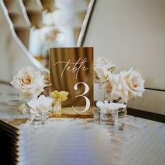 Gold Acrylic Wedding Table Numbers 1-25 with Stand Modern Decor Set Gold