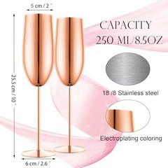Stainless Steel Champagne Flutes Set of 2-Unbreakable Metal Long Rose Gold