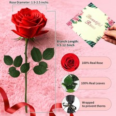 Leebean Single Forever Roses Luxury Gift for Women/Men, Birthday 1 Rose, Red