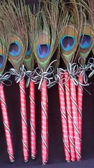 12 Peacock Feather Pen Party,forParty,Sweet16,Bridal S,Mom GIft,Weddin Favors
