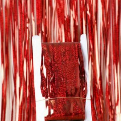 Metallics Foil Fringe Curtain Tinsel Kid Birthday Party Decor Wedding Home