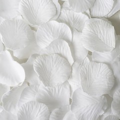 2000 White Silk Rose PETALS Wedding Party Decorations Supplies WHOLESALE