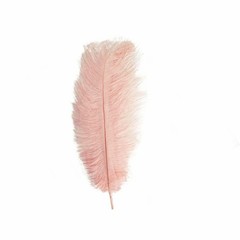 12 pcs 13-15″ long Rose Gold Genuine Ostrich FEATHERS Wedding Party Centerpieces