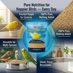 Alpiste 100% Non-Gmo Double Cleaned Canary Seed 5Lbs | Canary and Fi