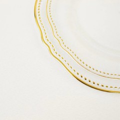 CLEAR 10 Round 9″ Plastic DINNER PLATES Gold Scalloped Rim Party Decorations