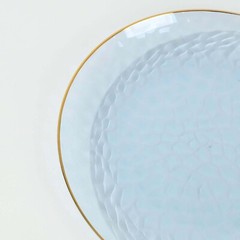 TRANSPARENT DUSTY BLUE 10 Glossy 8″ Round Plastic Salad PLATES GOLD Rim Party