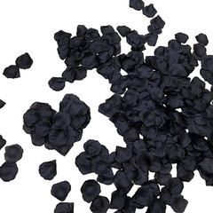 3000 Pieces Black Rose Petals Fake Artificial Flower Petals for Valentine Day,We