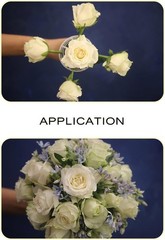 6pcs Flower Bouquet Holders Foam Floral Handle DIY Flower Arrangement Kit for…