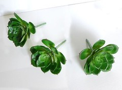 Artificial Small Snow Lotus Plastic Plants Succulents Green Grass One Set of 6