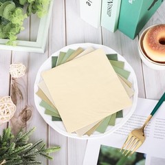 120 Sheet Sage Green Cocktail Napkin 2 Ply Color 5 x 5 In Nude Sage Green