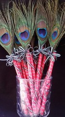 12 Peacock Feather Pen Party,forParty,Sweet16,Bridal S,Mom GIft,Weddin Favors