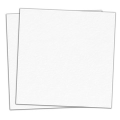 25 Pieces, (110 lb/300 gsm) – White 12 x 12 inches (25 Sheets),
