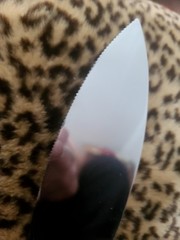 1995 Beverly Clark Collective Cake Knife/Server (Serrated Edge) Crystal 2 In 1