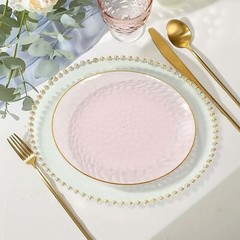 TRANSPARENT BLUSH 10 Glossy 10″ Round Plastic Salad PLATES GOLD Rim Party Events