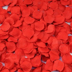 4000 Red Silk Rose Petals for Enchanting Decor – Weddings & More