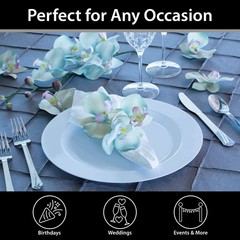 Lillian Tablesettings Premium Quality Heavyweight 10.25 Inch Plastic Plates