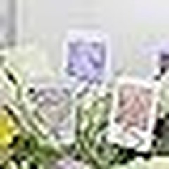 40Pcs Floral Picks Card Holders Bouquets Wedding Centerpieces Photo Sticks New