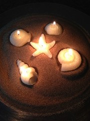 Hallmark Seashells Tea light Candles Beach Seaside Villa 5 White Shells Lot Set