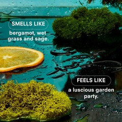 Boy Smells – 8.5 Oz – Fresh Sage And Wild – Up To
