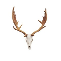 Fallow Deer Skull, deer wedding cake toppers, decor, favors, cupcake toppers, mi