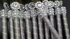 The12 Peacock Feather Pen PartyFAVOR forWeddings,Sweet16, Bridal ,Quinceañera,Bo