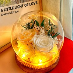 Preserved Flowers Roses Gift for Mom, Wife, Grandma – Forever Real White