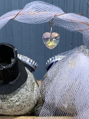 Unique Handmade Bride and Groom Rocks Wedding Decor Centerpiece Bottle Cap Eyes
