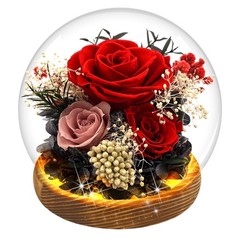 MOKOQI Red Rose Mothers Day Gifts for Mom Forever Flowers D3-