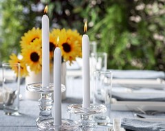 BOLSIUS White Candles 10 Pack – 9 Inch Straight Taper Candle 10 Count,