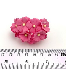 3/4″ – 2cm Rainbow Mix Wedding Craft Scrapbook Cottage Paper Flower (S11L-427)