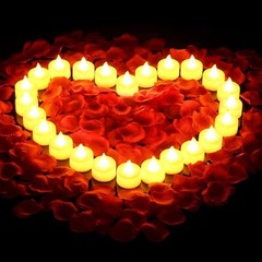 2000Pcs Artificial Rose Petals + 24 LED Candles Romantic Night Propose Set USA