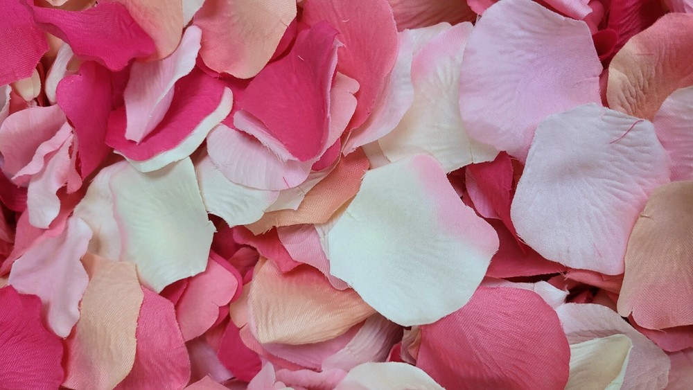 3000pcs Rose Petals Wedding Odorless Flowers -Petals – Favors