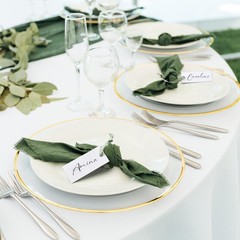 50 PCS 1.57 x 3.54 Inch Blank Table Name Place Cards Sage Green Satin Tags
