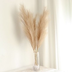 3 TAUPE 44″ ARTIFICIAL Pampas Grass SPRAYS Faux Plant STEMS Party Decorations