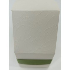 49 Pack White Especially For You Favor Boxes with Green Ribbon 2.5 Inch