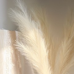 3 CREAM 44″ ARTIFICIAL Pampas Grass SPRAYS Faux Plant STEMS Party Decorations