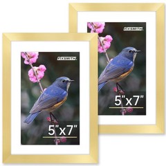 FIXSMITH 5×7 Picture Frame Set of 2, Gold Picture Frames Collage for Tabletop…