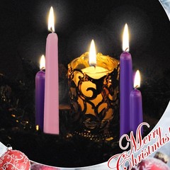 Patelai 40 Pcs Christmas Advent Candle Set Taper 10 inches, Purple Pink