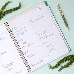 Day Designer 2026-2027 Weekly and Monthly Academic 8.5″ x 11″ Palms- 2026/2027